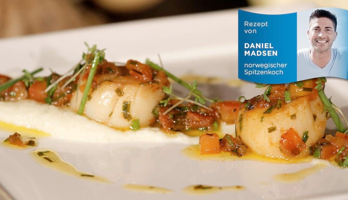 Tournedos von der norwegischen Jakobsmuschel