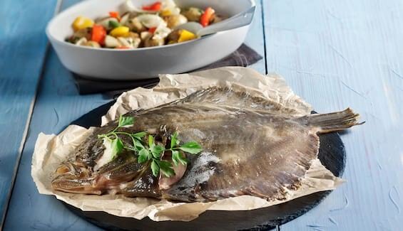 Steinbutt mallorquinische Art