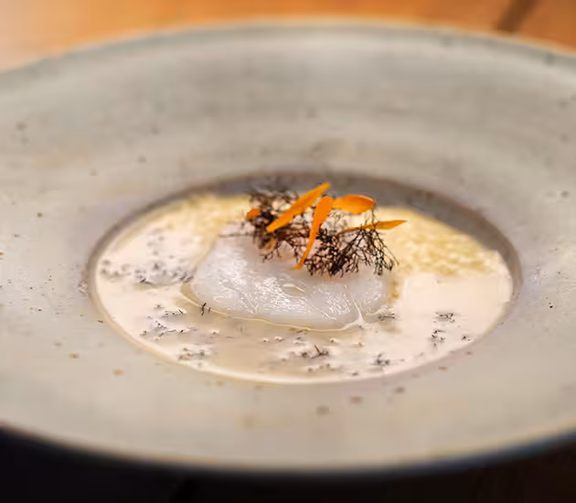 Gebackener norwegischer Skrei mit Sago Porridge und einer Sauce aus Trüffelalgen