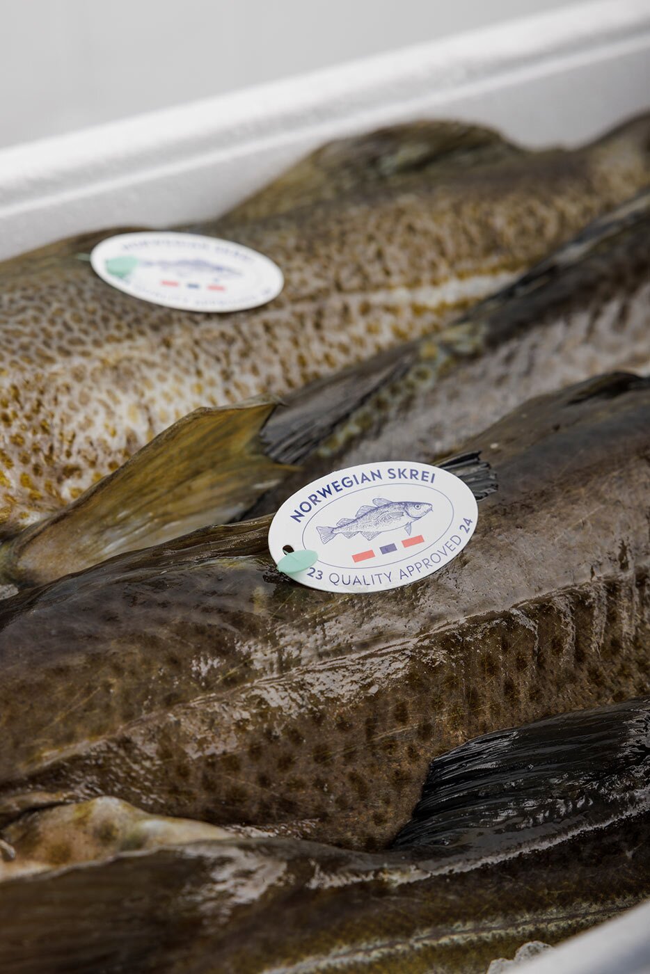 Skrei mit Qualitätslabel